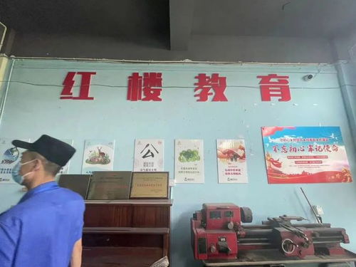 金華多家營利性藝術培訓機構違規補課被查處