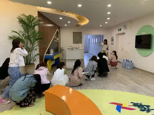 陽光伙伴藝術團順利通過校外培訓機構復訓核驗，開啟藝術培訓新篇章