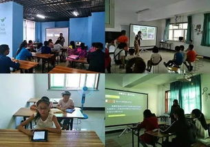 昌吉市規范藝術培訓市場，8家合格營利性民辦培訓機構名單公布